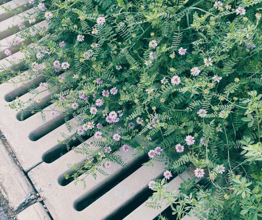 逐渐属于我的时间