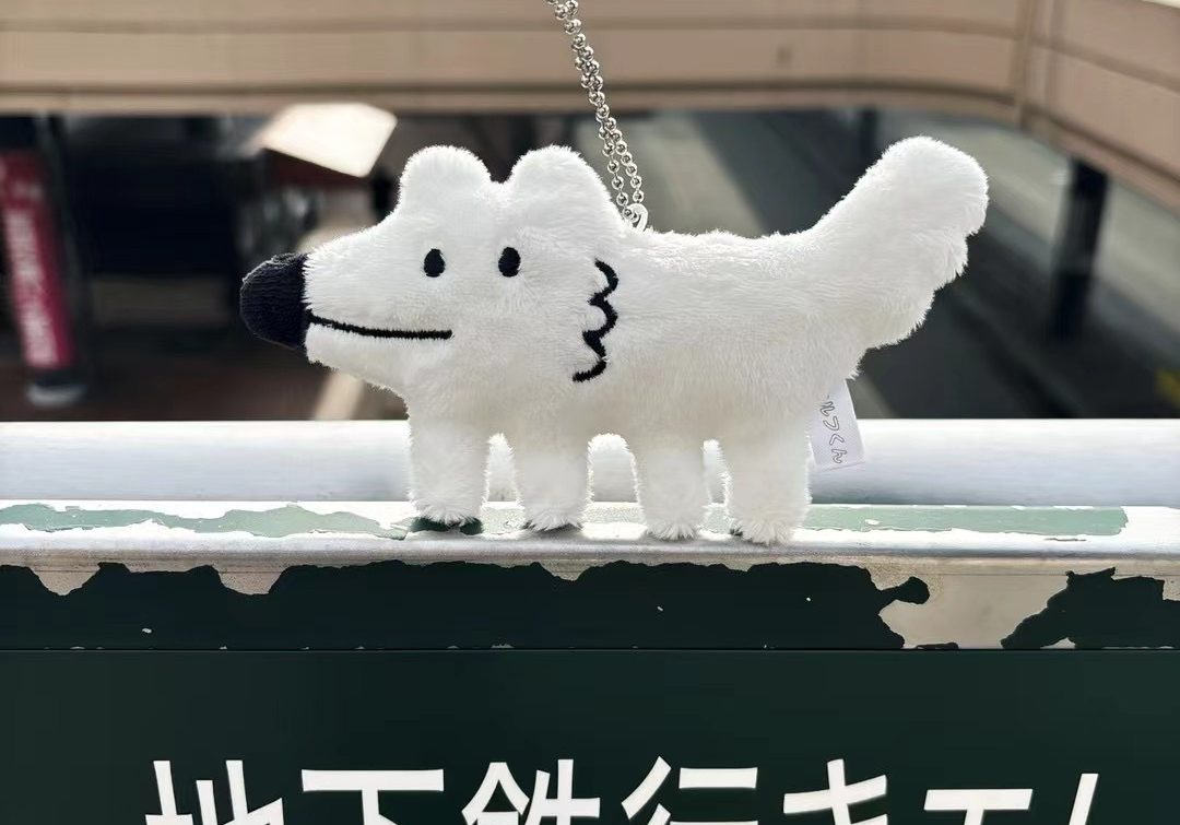 2025冬季日记集